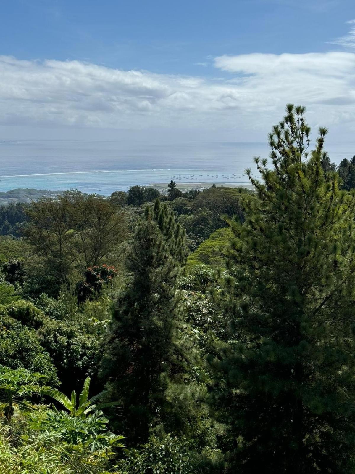 Logement Cosy Avec Piscine Et Vue Tahiti Punaauia Esterno foto